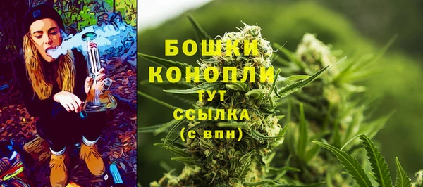 сатива Абаза