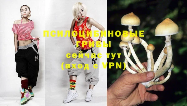 а пвп мука Абдулино